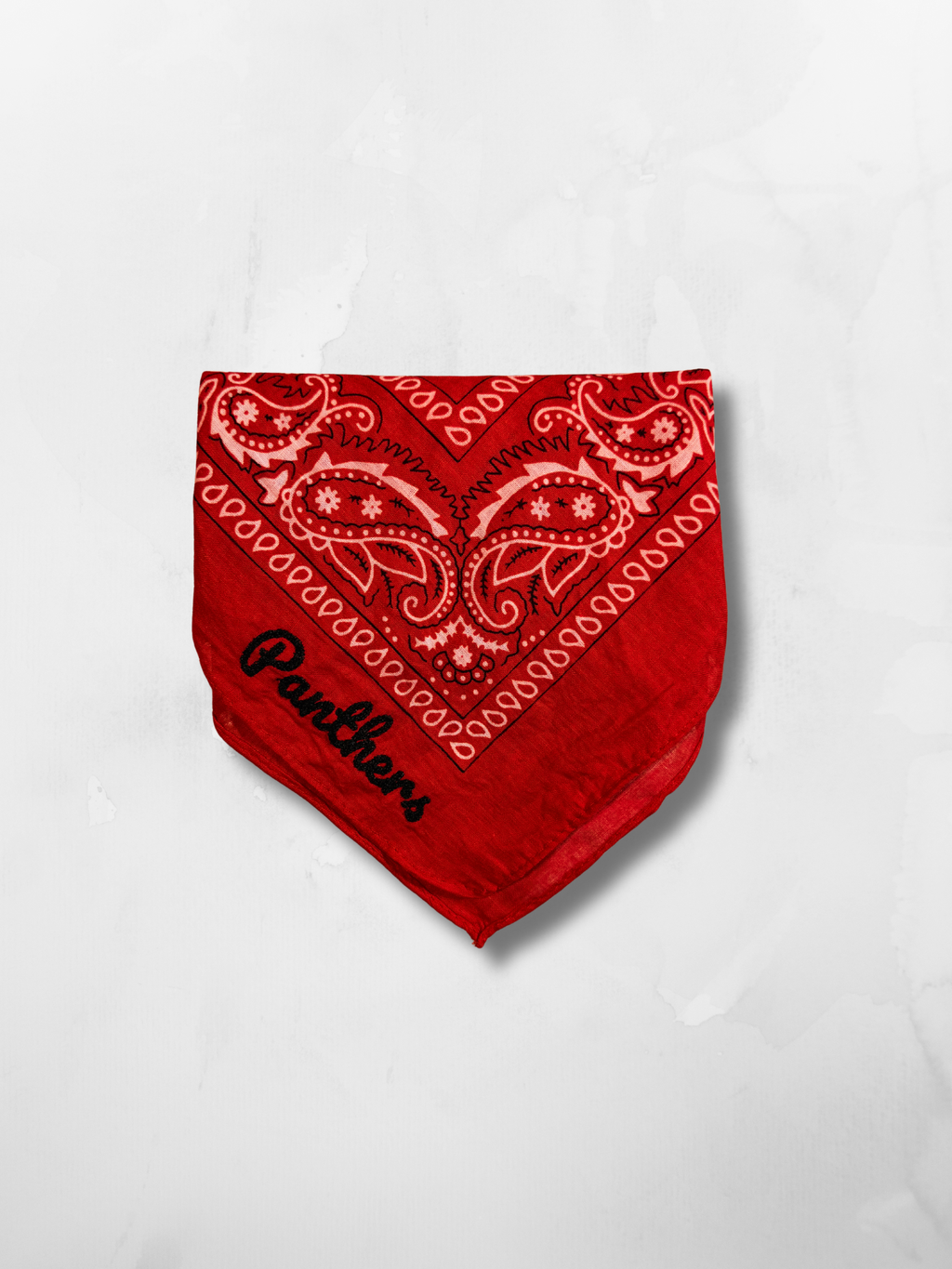 Panthers Bandana