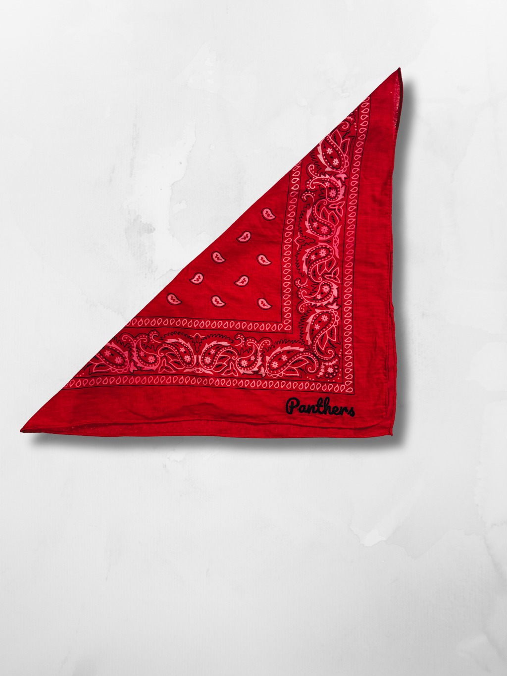 Panthers Bandana