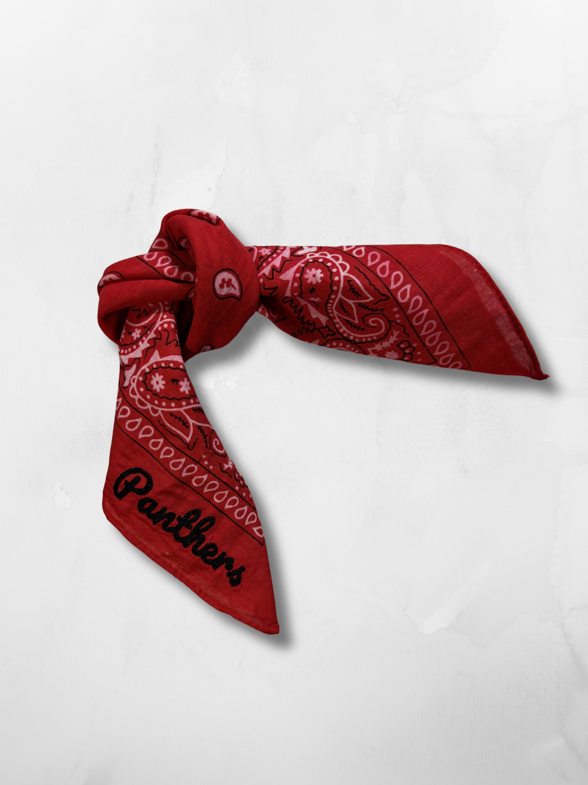 Panthers Bandana