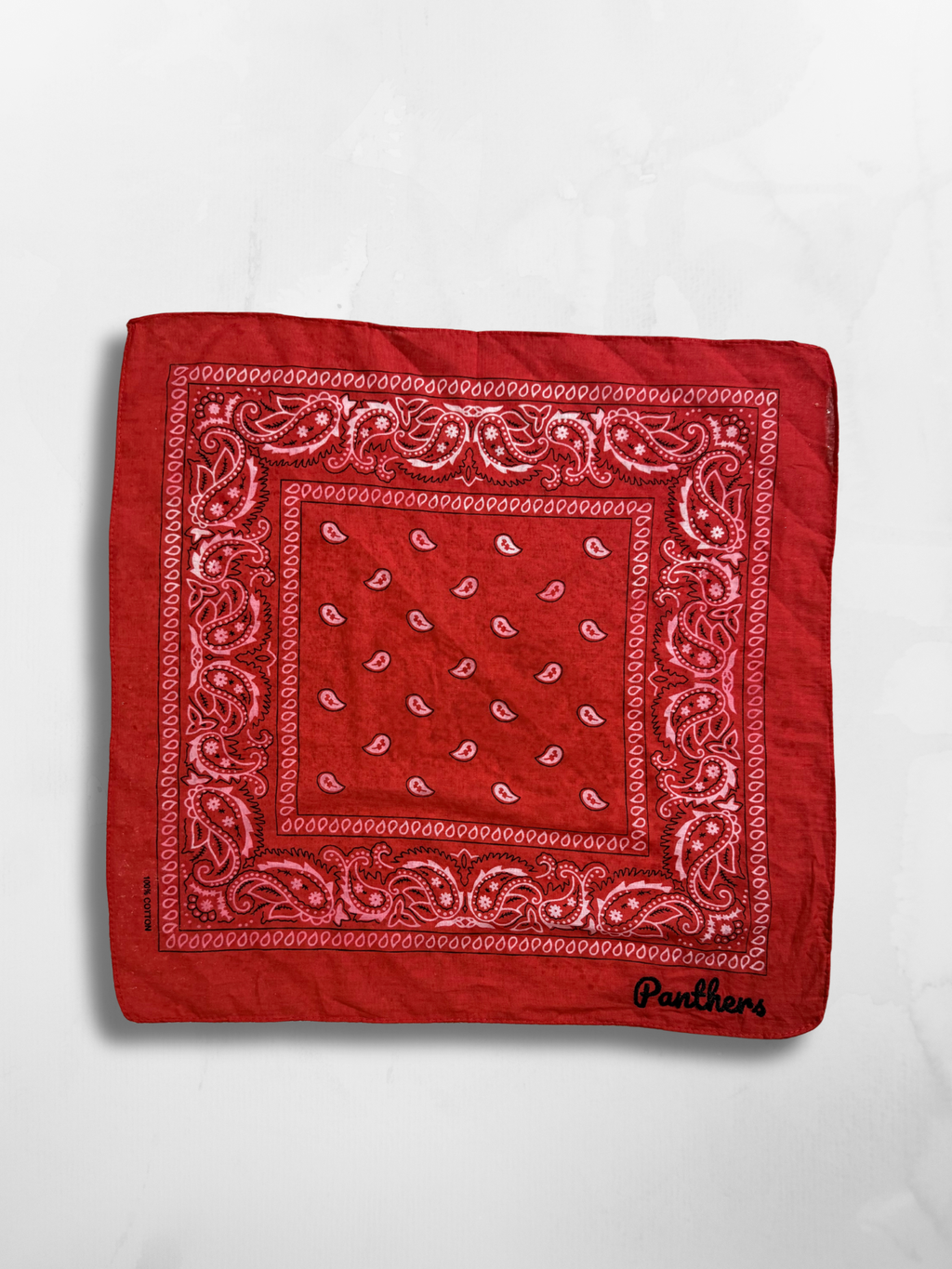 Panthers Bandana